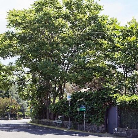 Pensjonat Pietra Dell'Etna Ragalna Zewnętrze zdjęcie